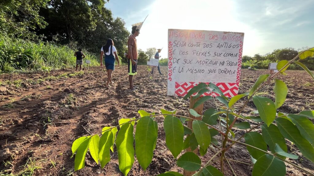 Placa e uma muda de árvore plantados na Floresta de Histórias.