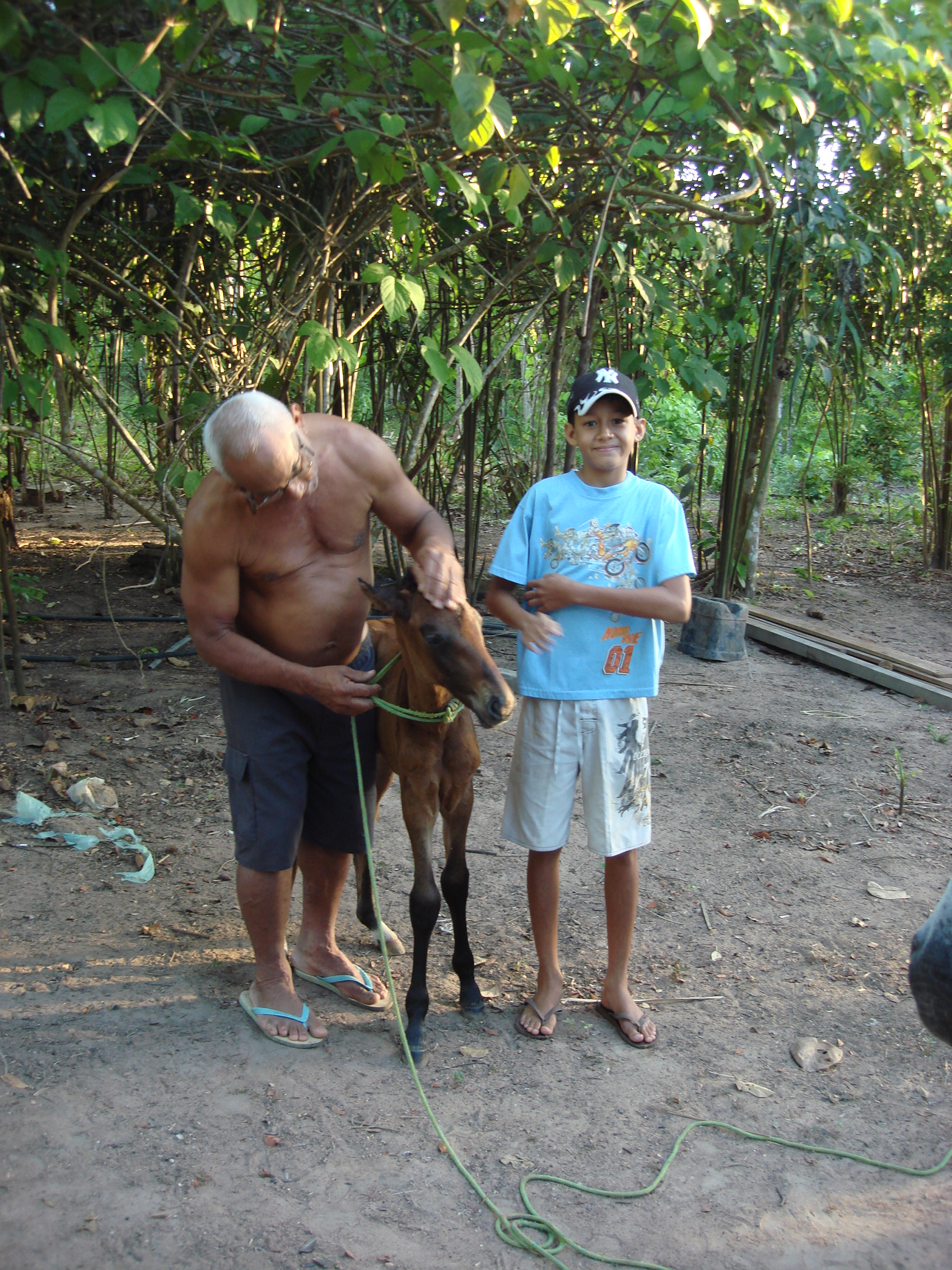 Seu Otaniel tinha amor pelo seu lugar, aqui ele esta cuidado do cavalo acompanhado de seu neto.
