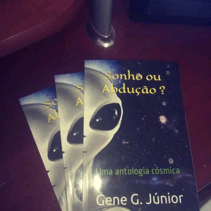 Meu primeiro livro