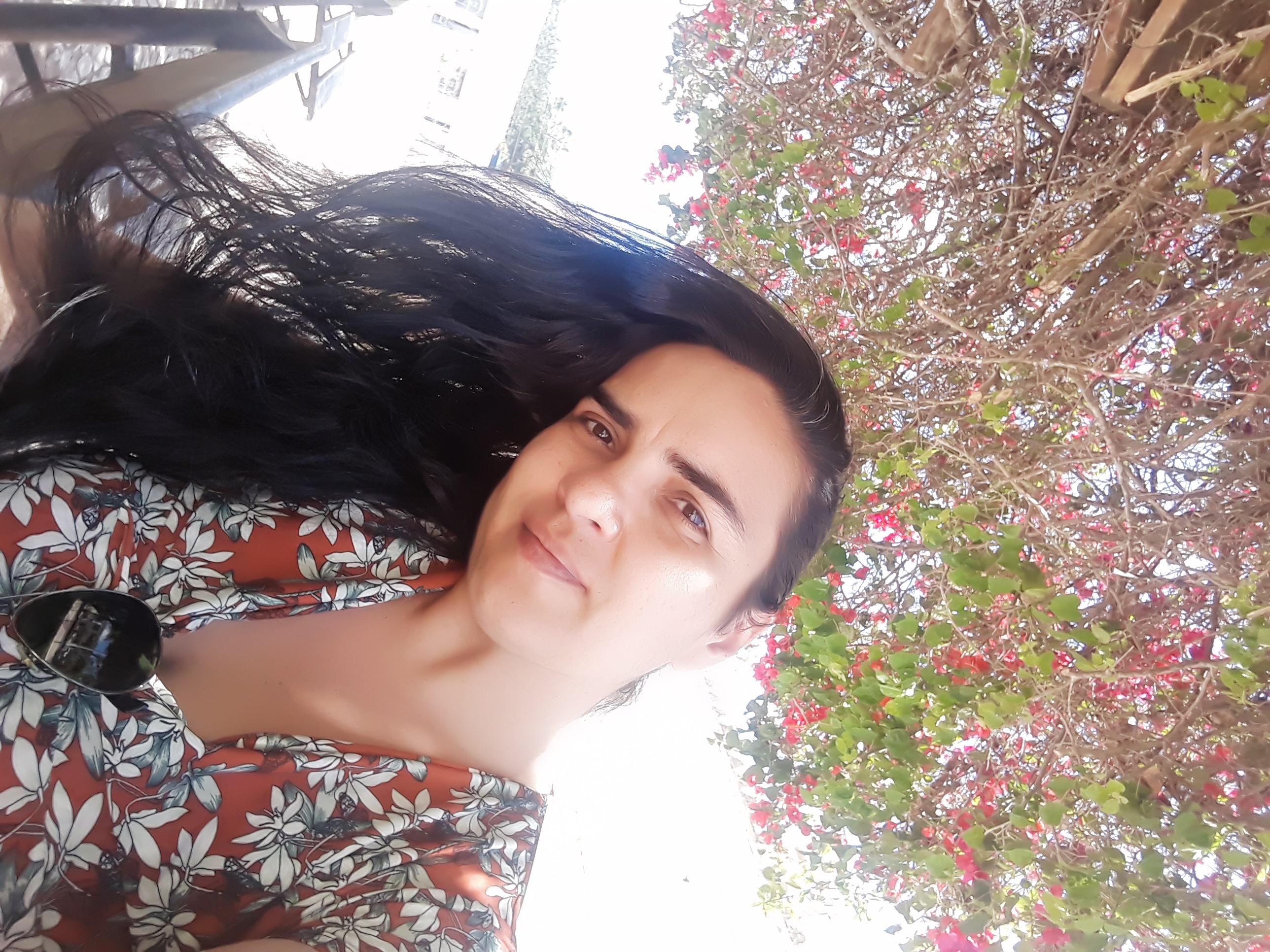 Viagens ao interior.