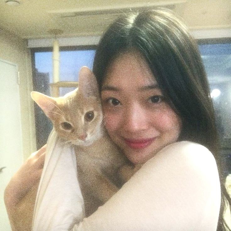 Sulli 