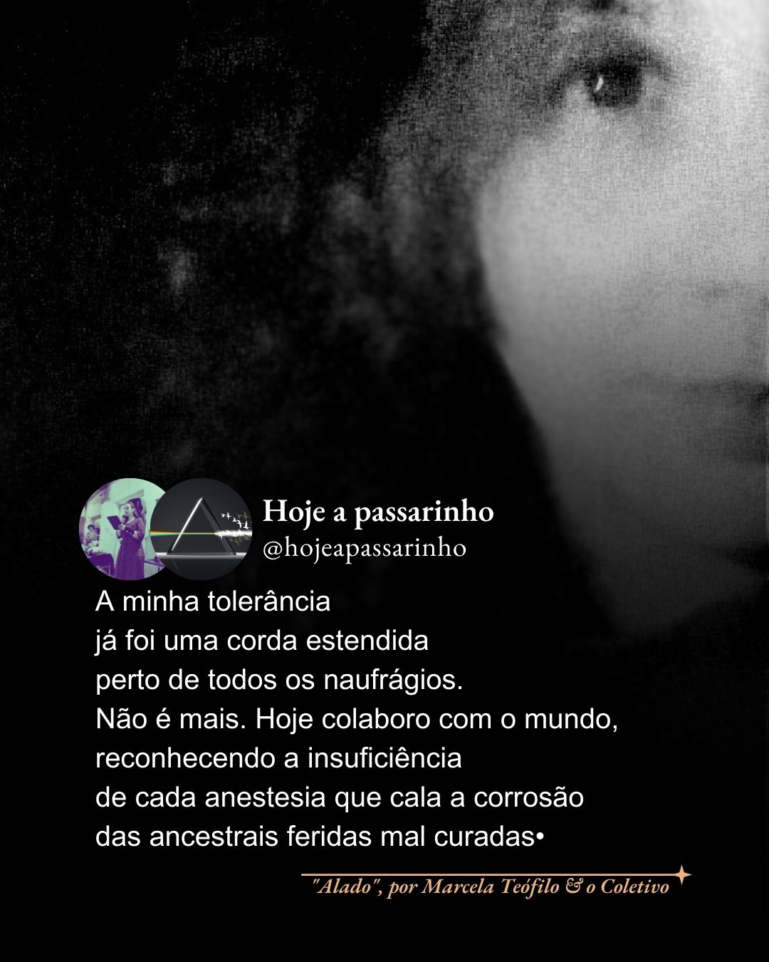 Banner de campanha: dia 25 de novembro pela eliminação da violência contra meninas e mulheres.

#descriçãodaimagem
Foto em preto e branco de metade da face de Marcela sobre fundo preto. Em letras brancas, leia-se: 