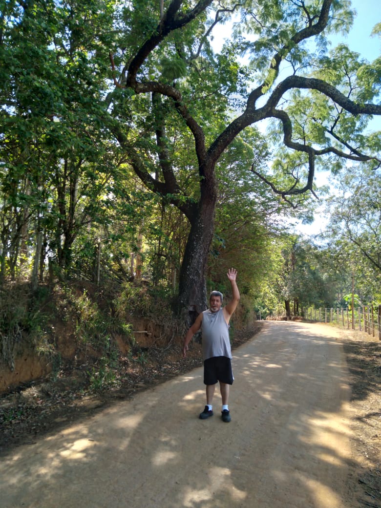 O Bloco do Eu Sozinho!