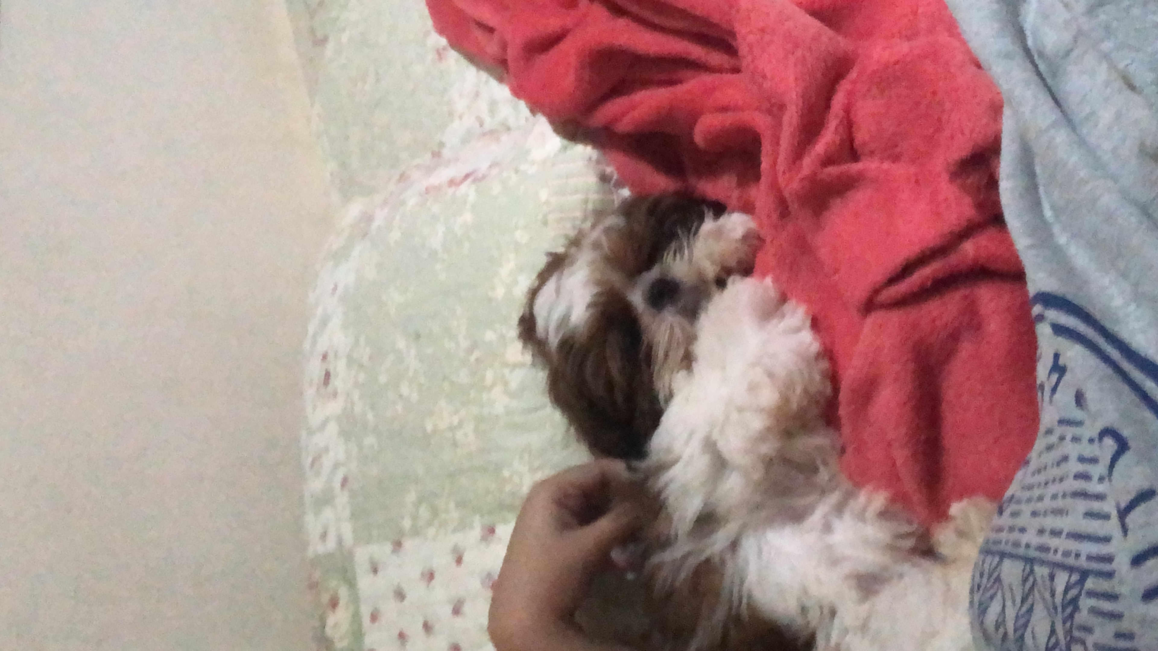 minha jully