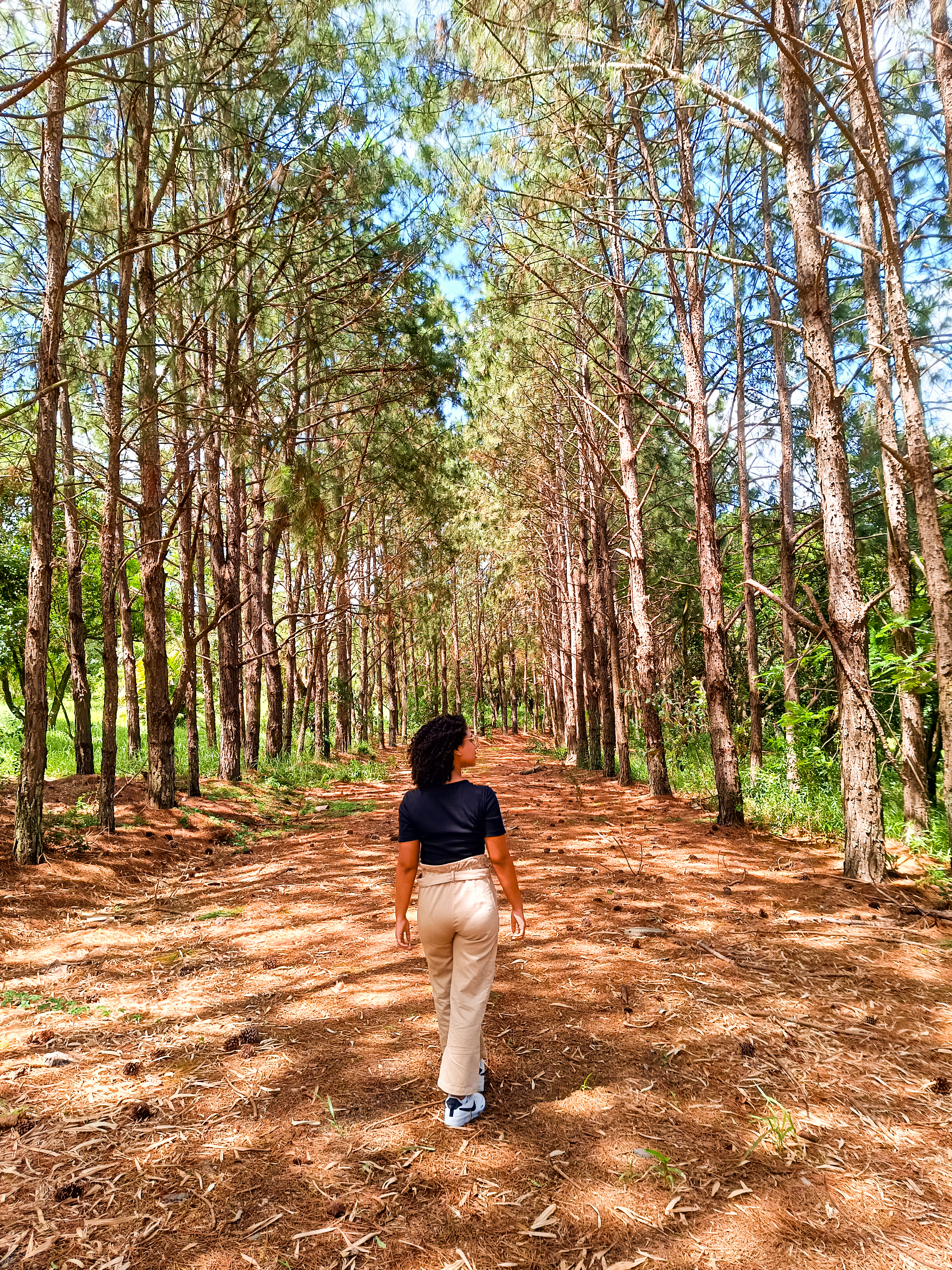 Também conheci uma cidadezinha aconchegante chamada tatuí, atual cidade que a familia da minha tia mora. Posso dizer que ela é meu porto seguro 2.0
