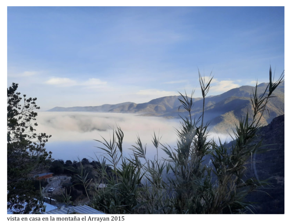 Un ataque a mi vecicula 