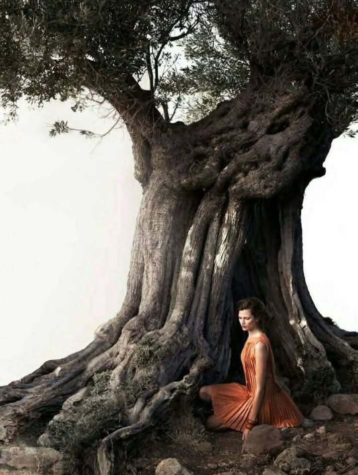 O que eu fiz da minha vida