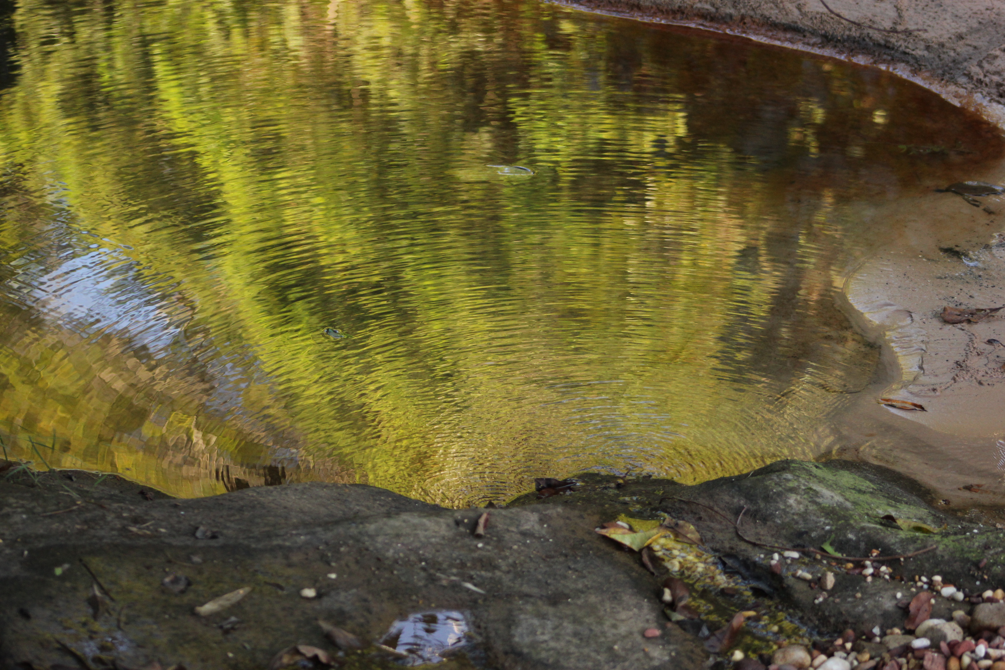 O Povo Guató EXISTE