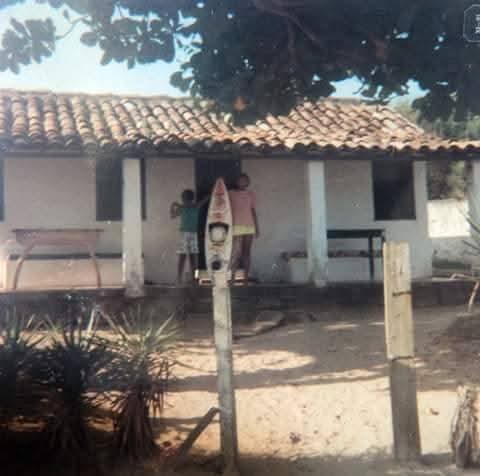 Invasão de violeiros 