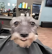 A incrível, inacreditável e fantástica Historia de Alexandrius Porrius II