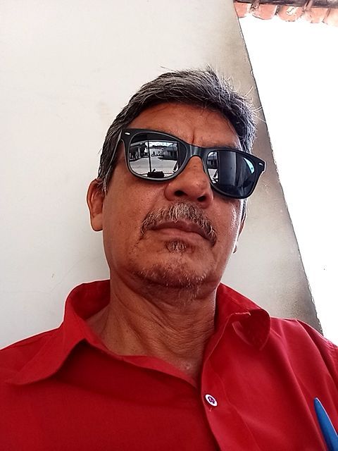 ...com pena, sem medo...