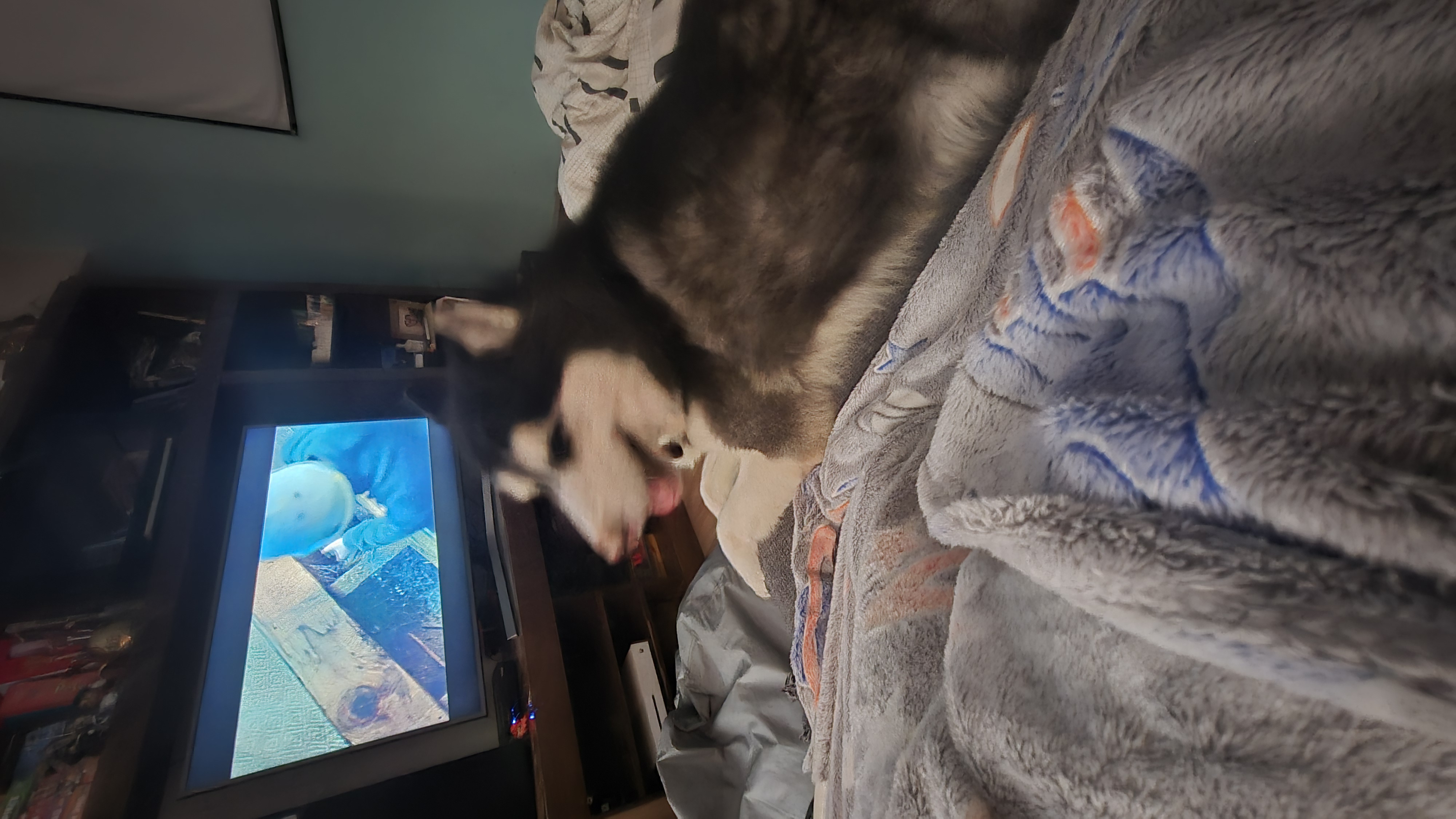 História sobre Benjamin 