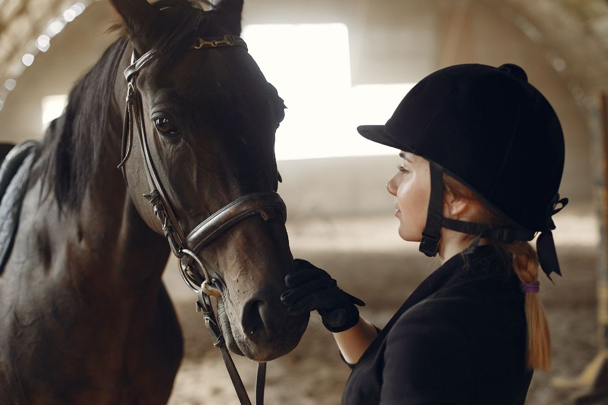 Gonçalo Borges Torrealba: tradição e inovação na criação de puro-sangue