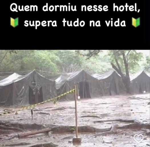 Vai vendo