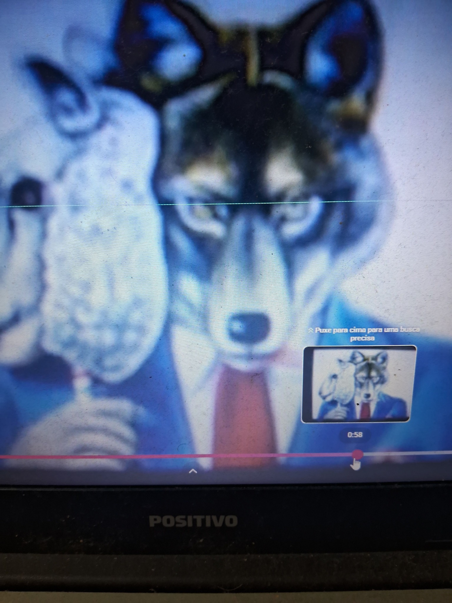 Lobo vestido de ovelha