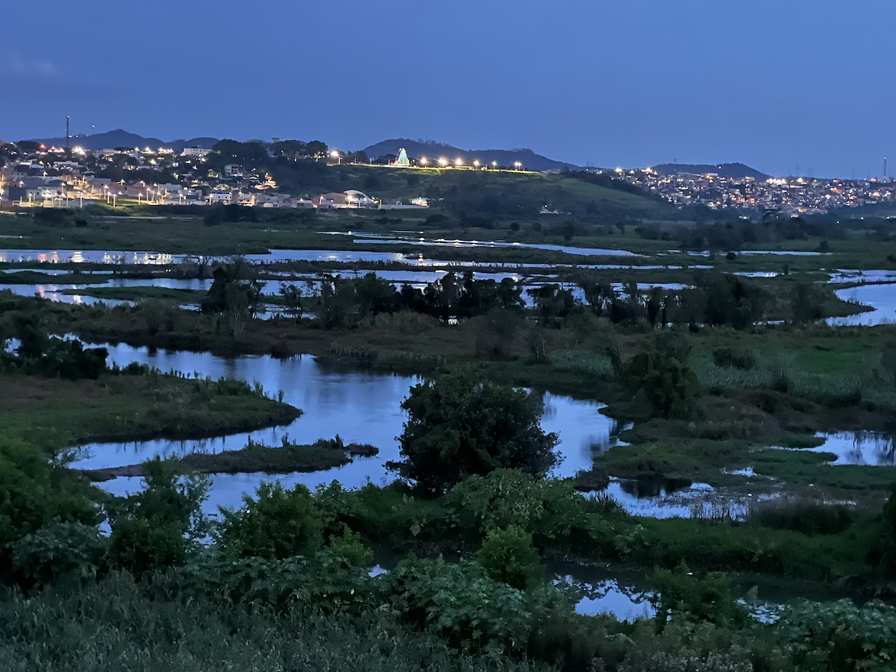 psicologia d'um passeador