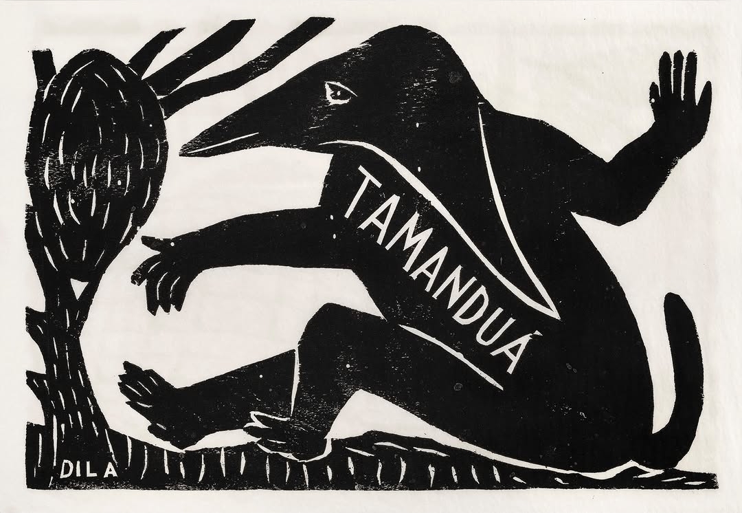 A xilogravura do Tamanduá-Bandeira é uma obra icônica de Mestre Dila (José Soares da Silva), um dos maiores nomes da arte popular e da literatura de cordel de Caruaru, Pernambuco.
Destaques da Obra e do ArtistaEstilo Único: A peça apresenta o tamanduá com linhas ricas e expressivas, típicas do imaginário fantástico de Dila.Técnica Inovadora: Mestre Dila substituiu a madeira por lâminas de borracha na década de 1960 para facilitar a produção de capas de cordel.