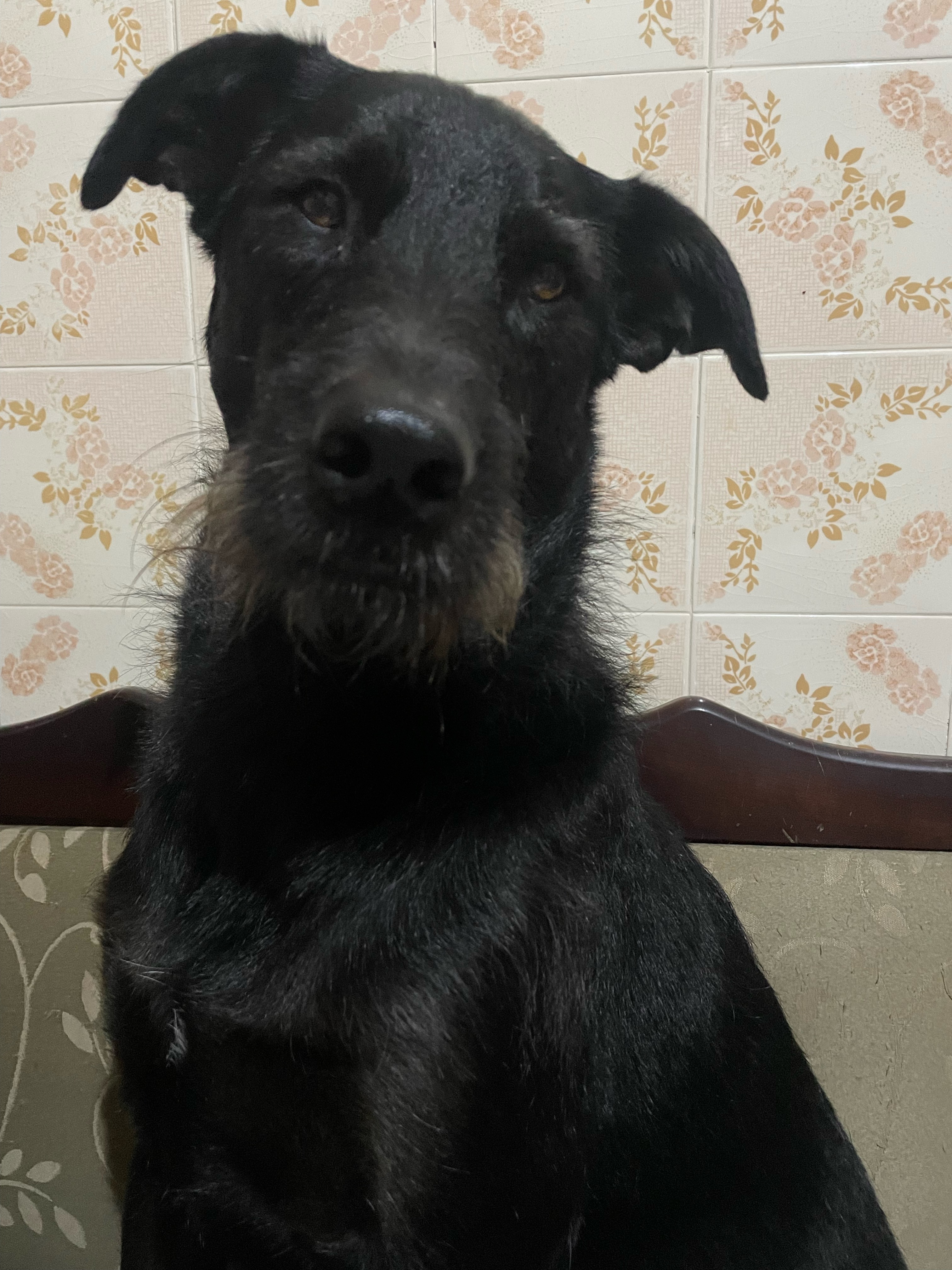 Ele hoje! 