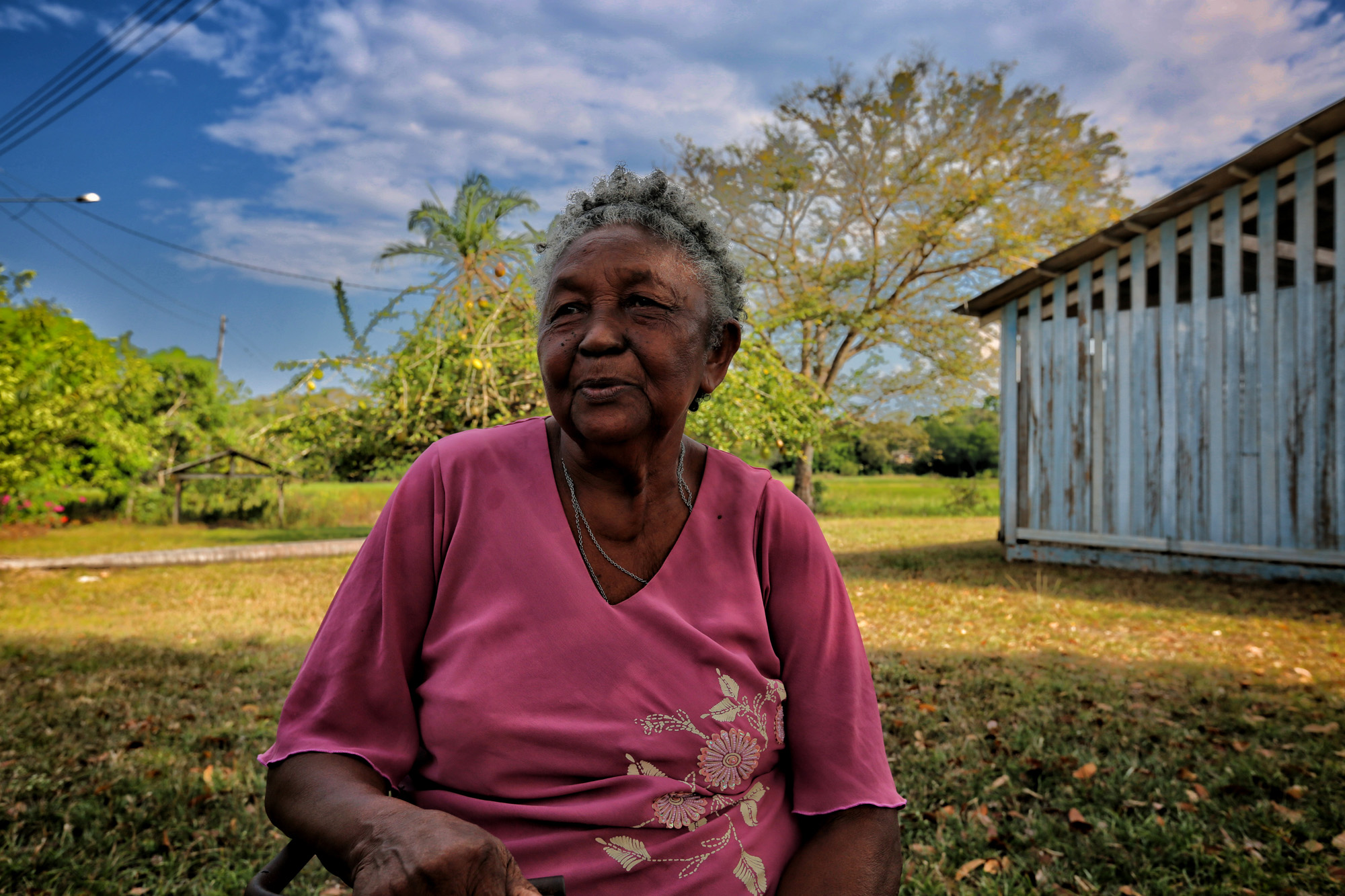 Divina Videira a personagem principal de nossa História.